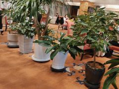 -花家八爷府(王府井·故宫店)