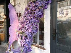 -溪岸路花鸟市场