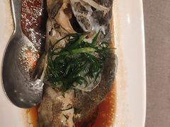 清蒸老虎斑-徐记海鲜(观沙岭|滨江新城店)