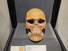 -北京周口店北京人遗址博物馆
