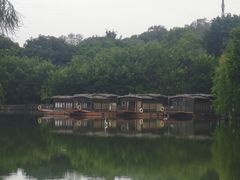 -三水森林公园