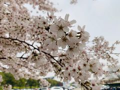 -闵行体育馆-停车场