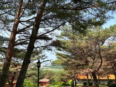 -延吉东来寺
