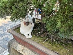 -中山詹园