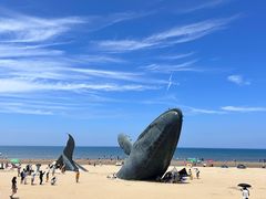 -烟台金沙滩海滨公园