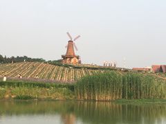 -大塘金香草谷