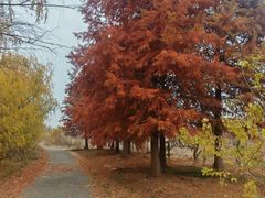 -嬉子湖生态旅游区