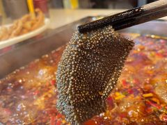 -红鼎坊·老成都火锅(新南门店)