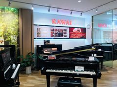 -柏斯琴行(汾阳店)