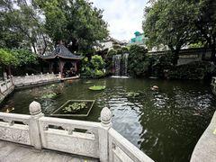 -碧江金楼