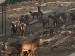 -昆明动物园