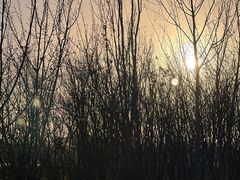 -永定河休闲森林公园