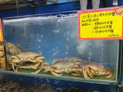 水产区-蚝专家(北滘店)