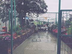 -南丫岛