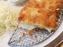 芝士猪排饭-犀牛家猪排