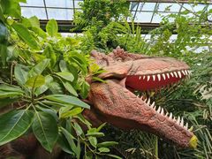 -呀路古热带植物园