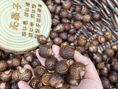 -陕西科学技术馆