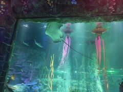 -沈阳海洋探索中心