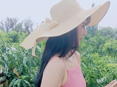 -南汇新场正宗水蜜桃采摘