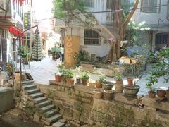 -小洲村