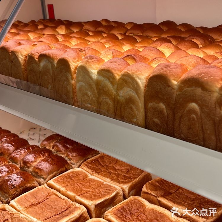 趁热集合🍞面包脑袋不骗面包脑袋❗️快来冲