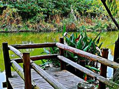 -新江湾城公园