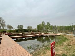 -东郊湿地公园