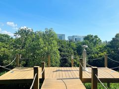 -华侨城湿地公园