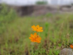 -重庆西南医院(西南院区)