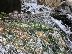-九如山休闲旅游度假区