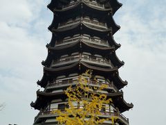 -洋湖国家湿地公园