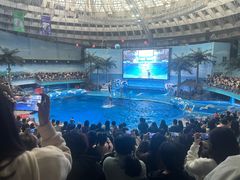 -海合安成都极地海洋公园