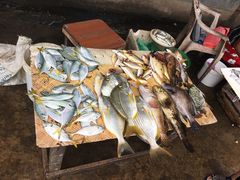 -尼甘布海鲜市场