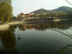 -石家庄市动物园