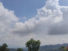 -中国大熊猫保护研究中心雅安碧峰峡基地