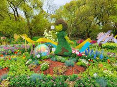 -上海共青森林公园