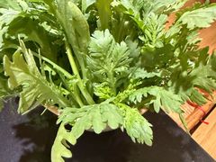 -芦月轩羊蝎子(劲松店)