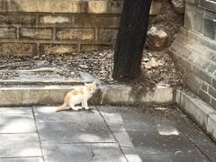 -四门塔风景区