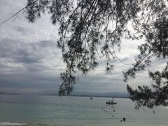 -东姑阿都拉曼海洋公园