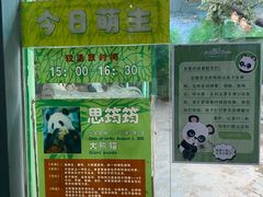 -灵玲国际马戏城