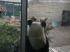 -越乡小厨(侨港店)