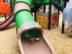 -合肥滨湖国家森林公园