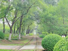 -永定河休闲森林公园