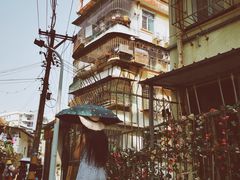 -猫咪博物馆(顶澳仔猫街店)