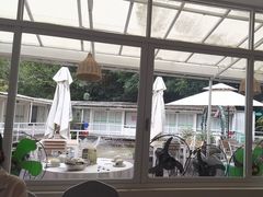 -芭厘农庄老字号·清远鸡