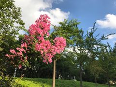 -苏州河梦清园环保主题公园