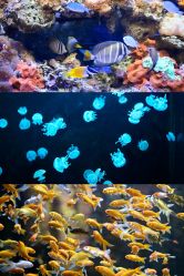 -Zoolung Zoolung动物主题公园(海信广场店)