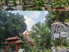 -北京市劳动人民文化宫