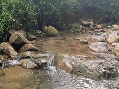 -南海湾森林生态园