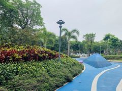 -宝安西湾红树林湿地公园